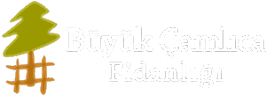 Büyük Çamlıca Fidanlığı